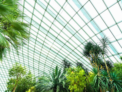A beautiful indoor garden inside a dome reflects how nature-inspired architecture can offer urban dwellers a touch of nature in otherwise concrete-dominated spaces