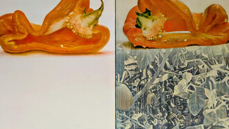Rafael Luis Armengol Machí "Pebrot partit" (Catalan for "Split Pepper") (1985) by the Oil on canvas, presented as a diptych (two panels). 162 x 260 cm (approximately 63.8 x 102.4 inches). Contemporary art collection at the Museo de Arte Contemporaneo de Alicante (MACA) in Alicante, Spain