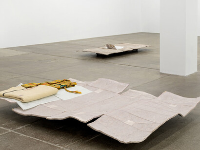 Liz Magor. Courtesy of Carpenter Center for the Visual Arts