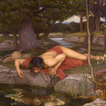 John William Waterhouse, Eco e Narciso, particolare