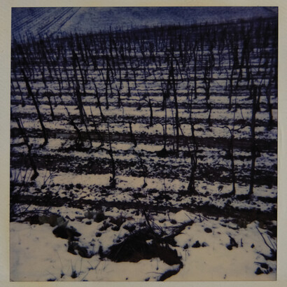Germano Sartelli, From the shot to the work: Germano Sartelli and the polaroid, picture in exhibition (detail). Courtesy of Pallavicini22 Art Gallery